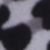 Tigre noir